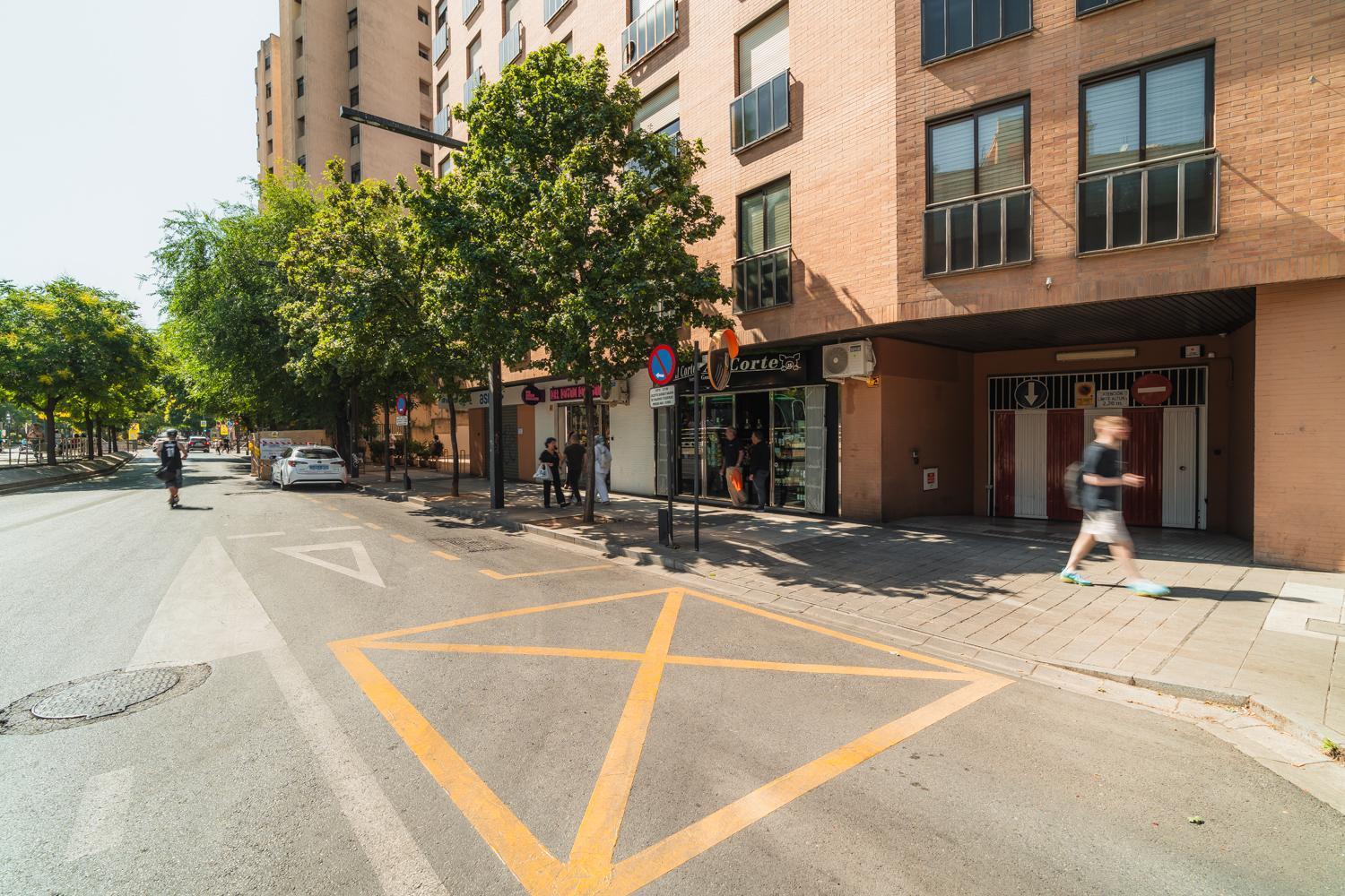 Constitucion Apartment - Free Parking グラナダ エクステリア 写真